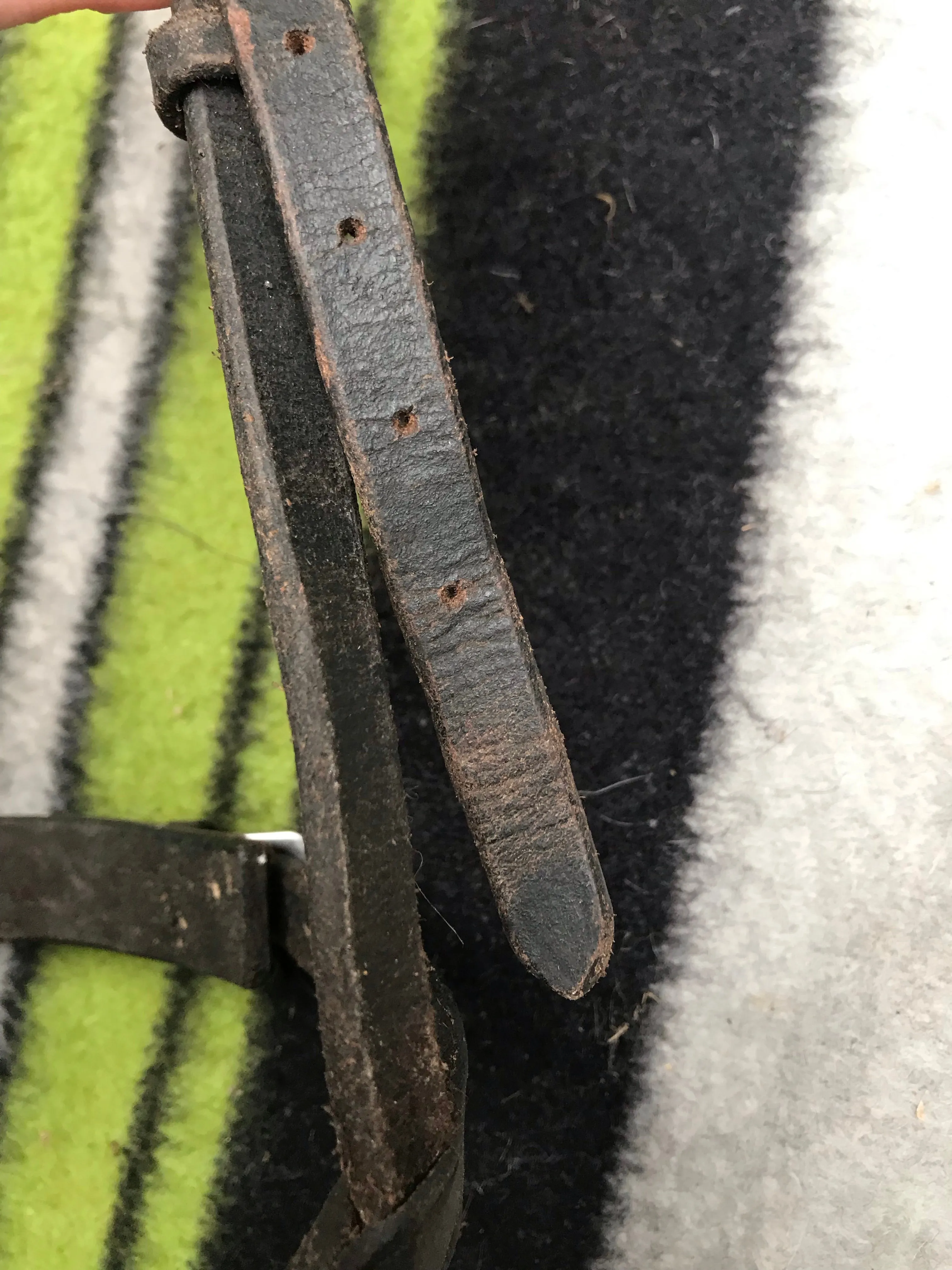 black leather full size nose band FREE POSTAGE