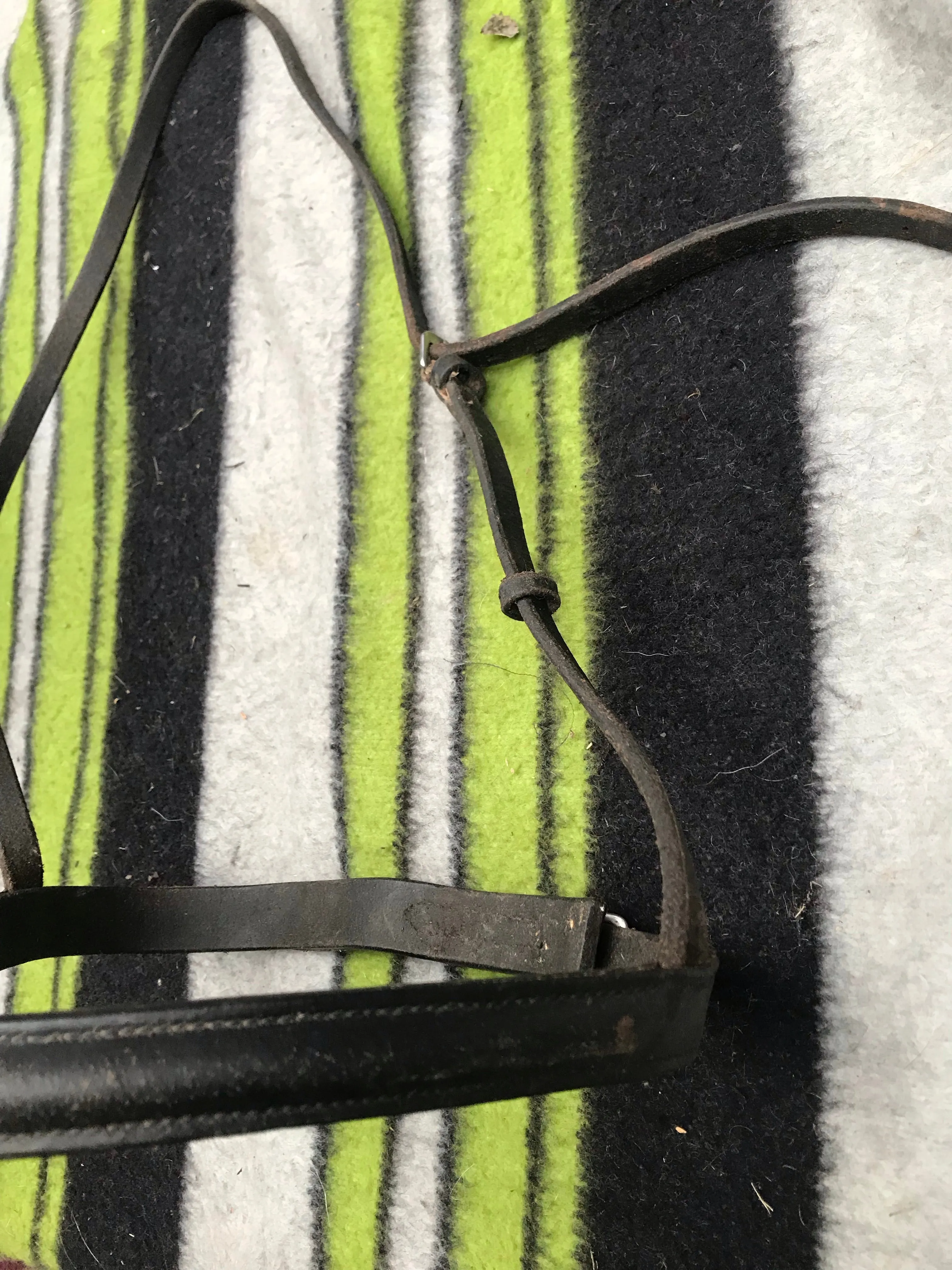 black leather full size nose band FREE POSTAGE