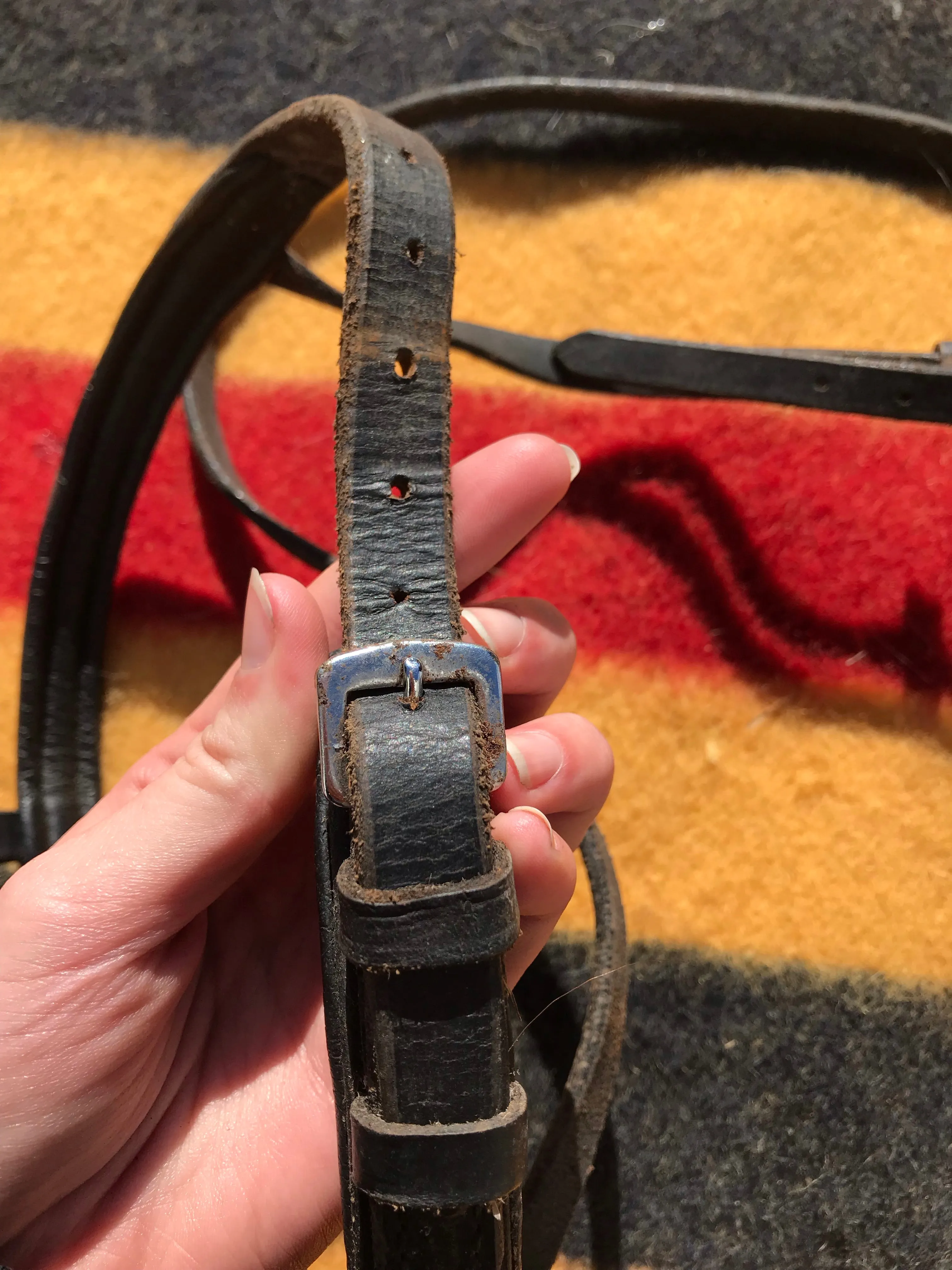 black leather nose band full size FREE POSTAGE