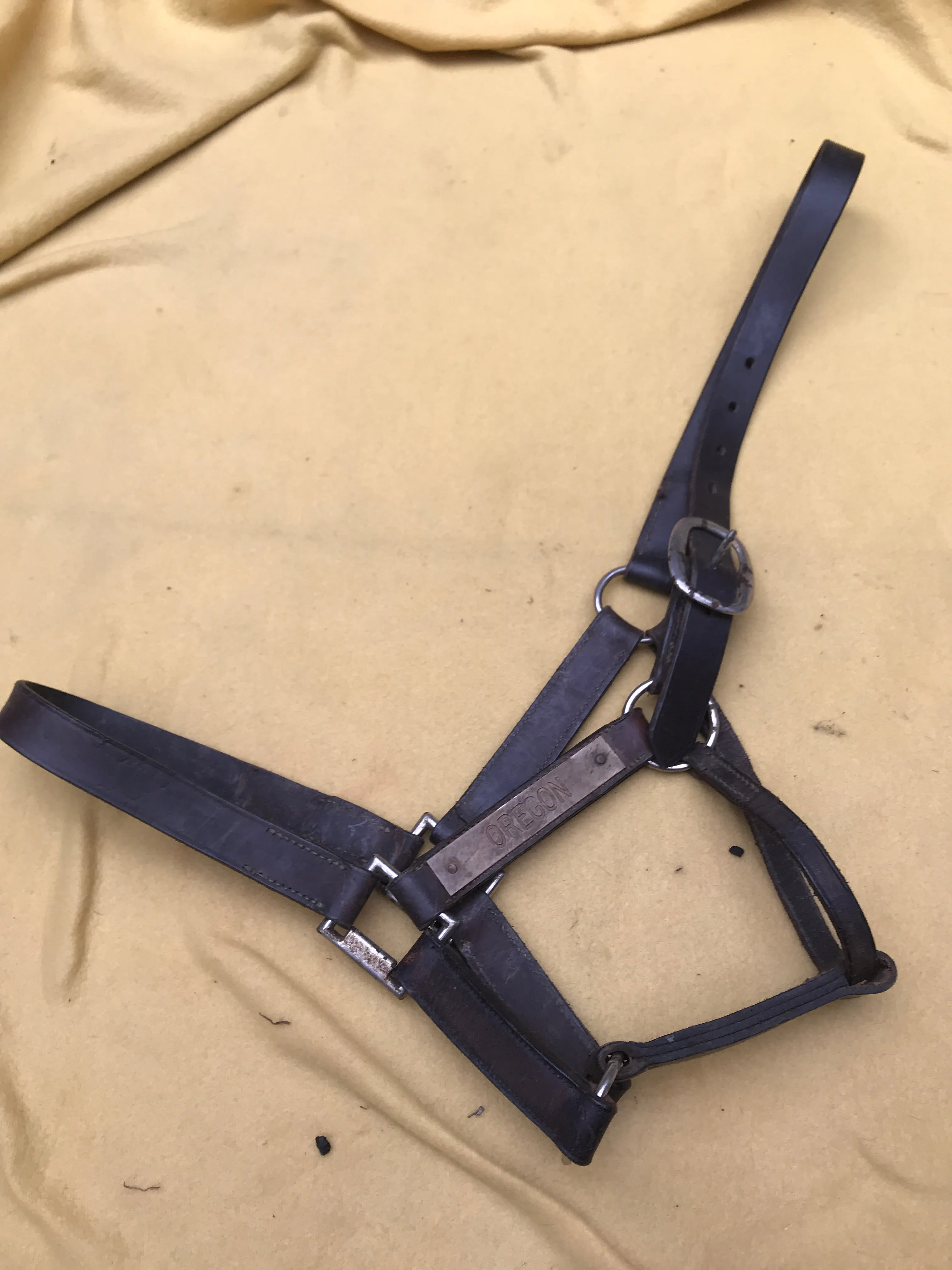 brown full head collar size: full (FREE POSTAGE)