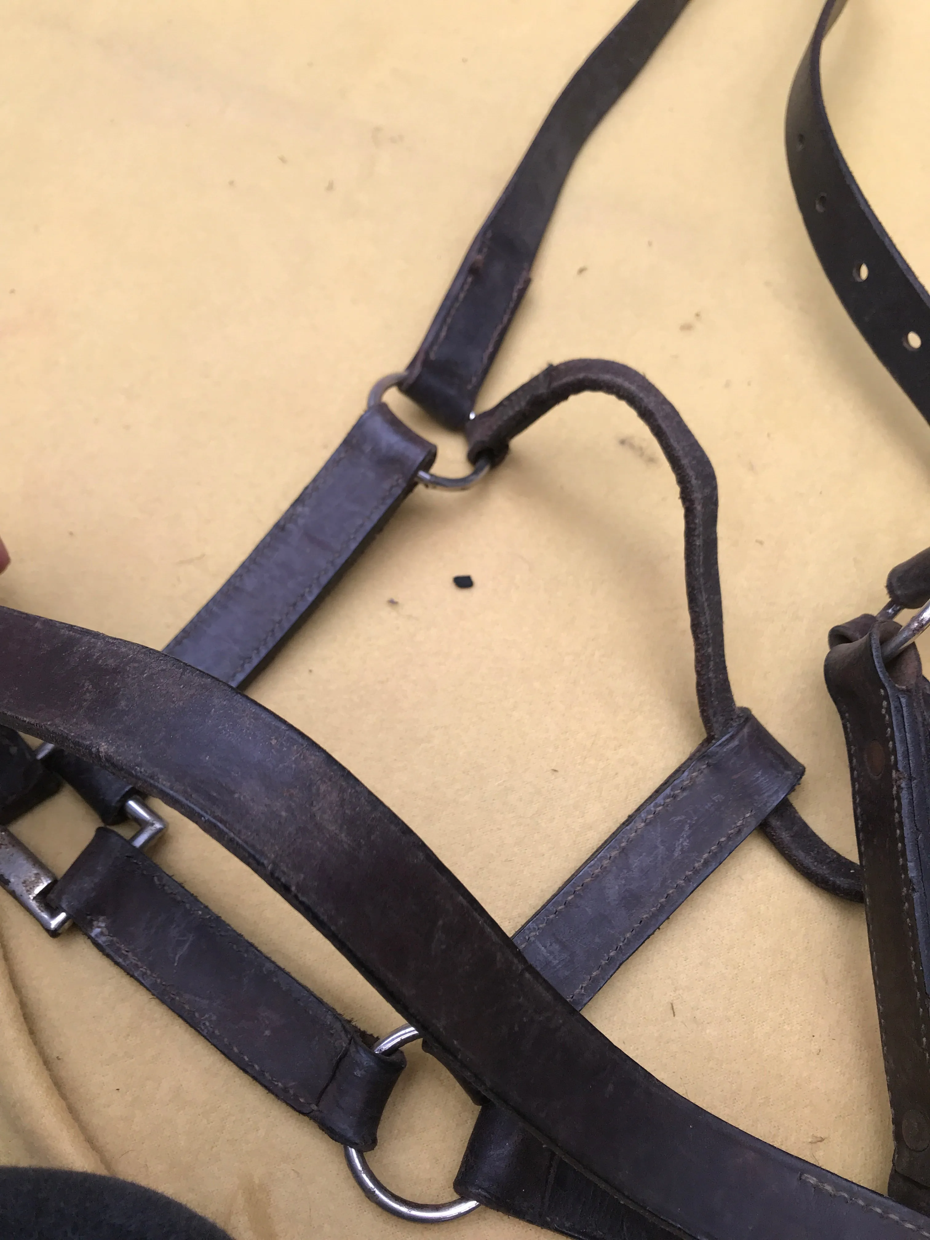 brown full head collar size: full (FREE POSTAGE)