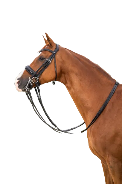 Dy'on Large Crank Noseband Double Bridle NEECAR/S/T