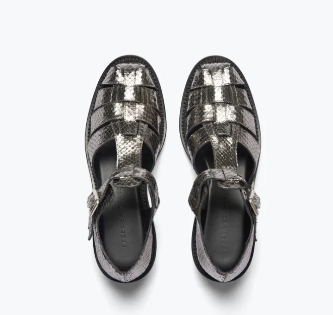Freda Salvador Dahlia  -ANTHRACITE EMBOSSED SNAKE