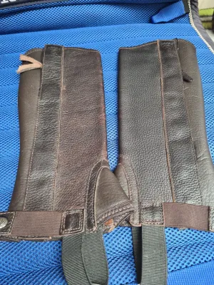 NEW ariat small chaps brown  ✅️