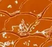 Patent Snake Faux Leather - Medium Pattern - Orange